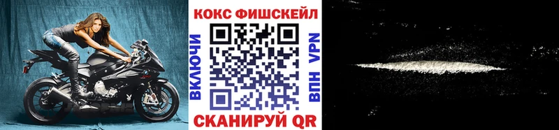 блэк спрут ссылка  Нелидово  Cocaine Fish Scale 