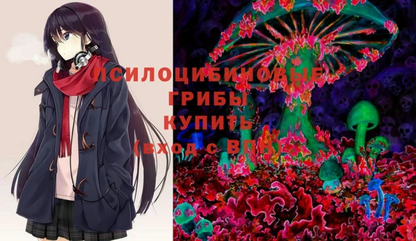 ГАЛЛЮЦИНОГЕННЫЕ ГРИБЫ Саяногорск