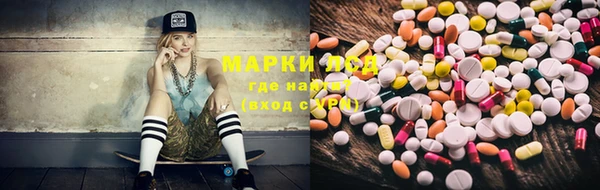 прущие крисы Алзамай