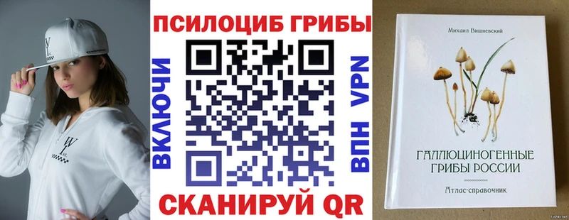 купить закладку  Нелидово  блэк спрут онион  Псилоцибиновые грибы GOLDEN TEACHER 